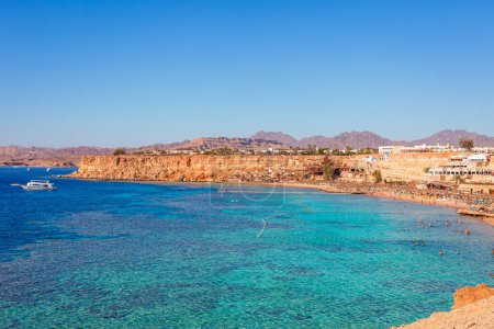 Foto de Playa soleada con palmera en la costa del Mar Rojo en Sharm el Sheikh, Sinaí, Egipto, Asia en verano caliente. ? arrecife oral y agua cristalina. Famoso destino turístico buceo y snorkel - Imagen libre de derechos