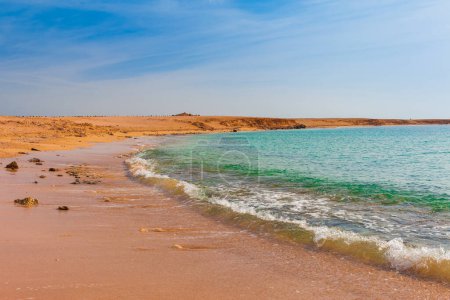 Foto de Playa de arena de costa marina en el Parque Nacional Ras Mohammed. Famosa desestacionación de viajes en el desierto. Sharm el Sheik, Península del Sinaí, Egipto. - Imagen libre de derechos