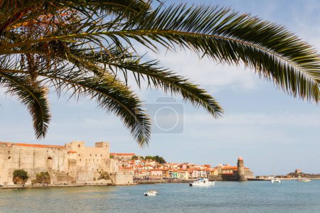 Foto de Panorama del puerto de Collioure, Languedoc-Rosellón, Francia, Europa del Sur. Antigua ciudad con antiguo castillo en la costa de Vermillion de la riviera francesa. Famoso destino turístico en el mar Mediterráneo - Imagen libre de derechos