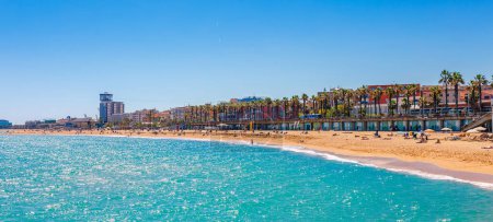 Foto de Playa Barceloneta en Barcelona. Bonita playa de arena con palmeras. Soleado día brillante con cielo azul. Destino turístico famoso en Cataluña, España - Imagen libre de derechos