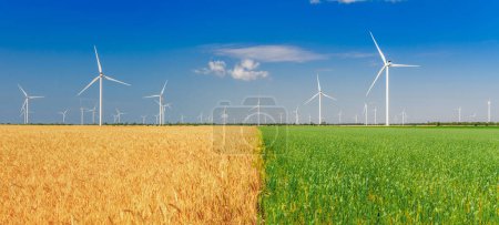 Foto de Turbinas eólicas generando electricidad en el campo. Eco poder, ecología y concepto de poder alternativo
. - Imagen libre de derechos