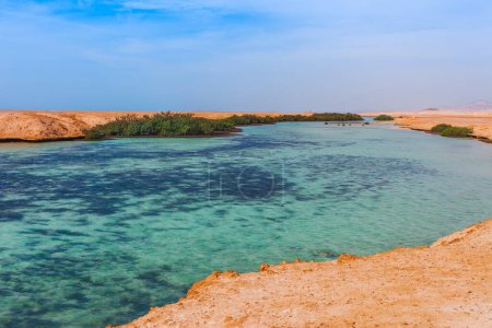 Sea coast and mangroves in the Ras Mohammed National Park. Famous travel destionation in desert. Sharm el Sheik, Sinai Peninsula, Egypt.