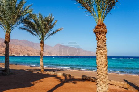 Foto de Playa soleada en la costa del Mar Rojo en Dahab, Sinaí, Egipto, Asia en verano caliente. Famoso destino turístico cerca de Sharm el Sheikh. Luz brillante y soleada - Imagen libre de derechos