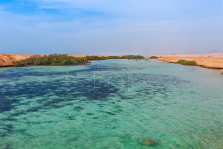Foto de Mar y manglares en el Parque Nacional Ras Mohammed. Famosa desestacionación de viajes en el desierto. Sharm el Sheik, Península del Sinaí, Egipto
. - Imagen libre de derechos