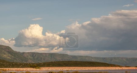 A flock of flamingo birds are flying over a large body of water. The sky is cloudy, but the birds are still flying, Kenya.