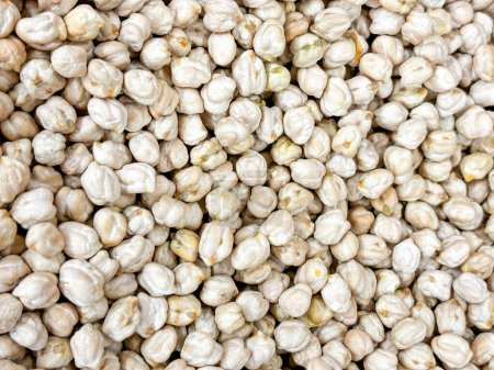 A close up of white chickpeas. The image is of a large pile of chickpeas, with some of them being slightly larger than others. The pile is spread out and he is in a variety of sizes
