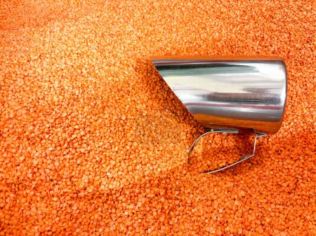 Une cuillère en argent est assise sur un tas de lentilles rouges. Les lentilles rouges sont éparpillées sur tout le sol,