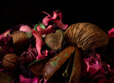 Téléchargez les photos : Aromathérapie décorative fond, mélange de coquilles naturelles. Mélange abstrait parfumé mauve-rose de copeaux, noix et coquilles avec espace noir. - en image libre de droit