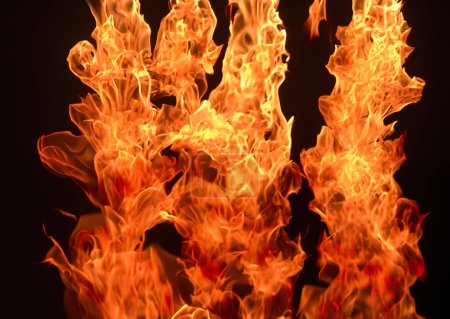 Foto de Azotando llamas amarillo-anaranjadas. Llameantes lenguas peligrosas en llamas sobre fondo negro, fondo de pantalla abstracto, fondo. - Imagen libre de derechos