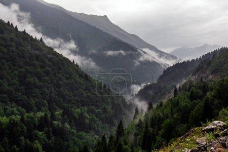 Beautiful panoramic view of forest mountain range in fog.