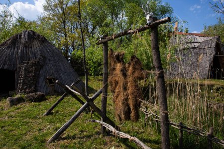 Animal fur hanging and drying. Ancient hunter village and concept of life