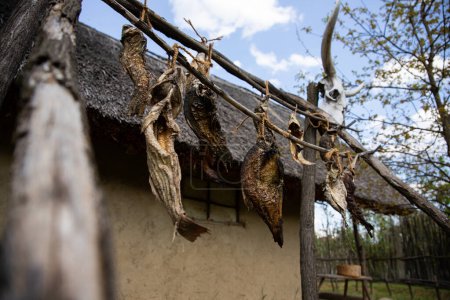 Air dried fish at ancient fisherman village at the banks of river Danube in Serbia
