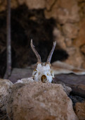 Goat skull inside a caveman's cave from prehistoric ages in Serbia magic mug #715227958