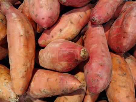 Sweet potato Ipomoea batatas or yam on display, group of objects