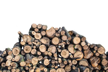 Photo for Firewood on a white isolated background, Sliced into a frame - Royalty Free Image
