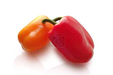 Photo for Two peppers, red and yellow, on a white isolated background. isolate - Royalty Free Image