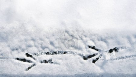 Foto de Rastros de una torre o pájaro cuervo sobre nieve blanca y esponjosa. hay espacio para el texto - Imagen libre de derechos