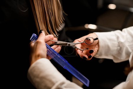 Hairdressing services. Hands of hairdresser with comb and scissors in process of accurate haircut health female hair in salon. Close-up