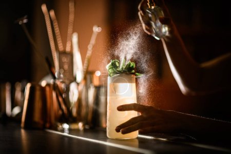 Female hands of bartender spraying cocktail decorated with leaves in glass covered with condensation on blurred background