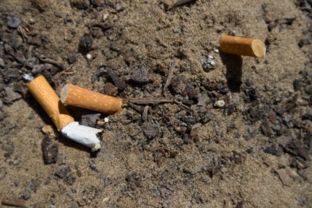 Photo for Some extinguished cigarettes in the sand of a beach reveal a habit that is harmful to health and an ecological problem for the sea and the animal species that inhabit it - Royalty Free Image