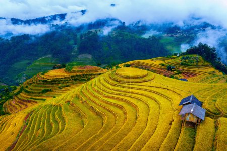 Foto de Hermosas terrazas de arroz en el mirador Mam xoi en Mu cang chai, Vietnam. - Imagen libre de derechos
