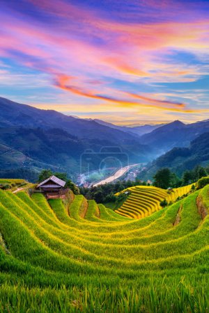 Foto de Hermosas terrazas de arroz al atardecer en Mu cang chai, Vietnam. - Imagen libre de derechos