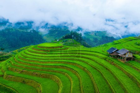Foto de Hermosas terrazas de arroz en el mirador Mam xoi en Mu cang chai, Vietnam. - Imagen libre de derechos