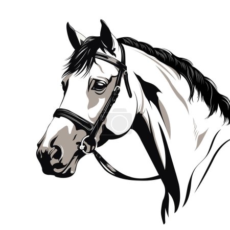 Téléchargez les illustrations : Conception de vecteur de tête de cheval blanc. Illustration vectorielle couleur. - en licence libre de droit