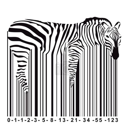 Ilustración de El diseño para la camiseta de la cebra mezclado con el código de barras. numeración del código finbonacci - Imagen libre de derechos