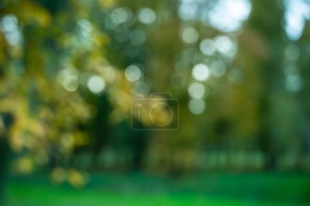 Photo for Autumn park fallen yellow leaves - Royalty Free Image