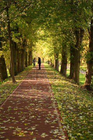 Foto de Hermoso paisaje de otoño fondo con árboles - Imagen libre de derechos