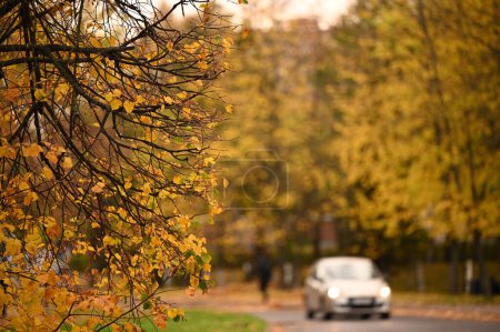 Photo for Autumn city park. Beautiful fall season - Royalty Free Image