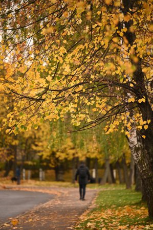 Photo for Autumn city park. Beautiful fall season - Royalty Free Image
