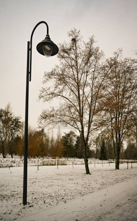 Photo for Snowy winter in the park - Royalty Free Image