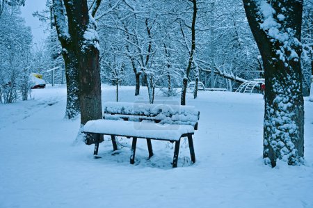 Téléchargez les photos : Arbres enneigés dans le parc en hiver - en image libre de droit