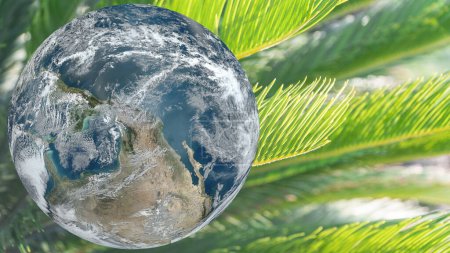 Foto de Earth and green plant background. Earth day or World environment day or nature day concept. Elements of this image furnished by NASA - Imagen libre de derechos