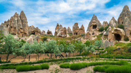 Photo for Fairy chimneys in Cappadocia Turkey. Cappadocia landscape. Travel to Turkey. Selective focus included. - Royalty Free Image
