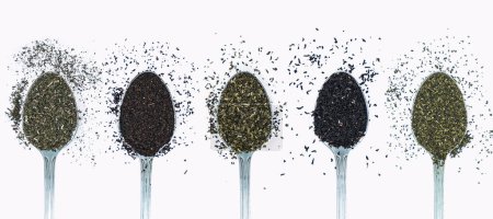 Different types of tea in spoons top view on white background. black, green, herbal tea spoon. Dried tea in metal spoon. loose leaf tea on a metal spoons.