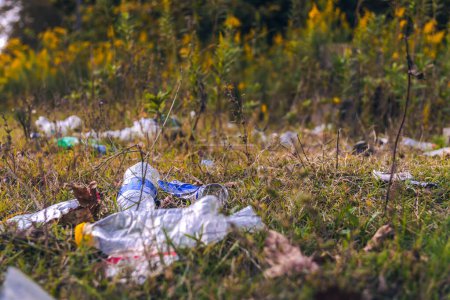 Photo for Close-up of plastic bottles, garbage in the grass. Illegal dumping of garbage in nature. Pollution of the environment by garbage. Concept of an ecological catastrophe on the planet - Royalty Free Image