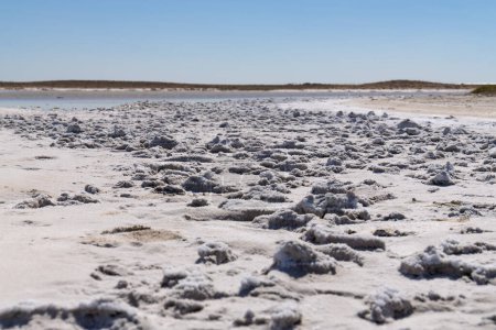 Téléchargez les photos : Gros plan sur les dépôts de sel sur le lac Tuz par une journée ensoleillée, Turquie - en image libre de droit