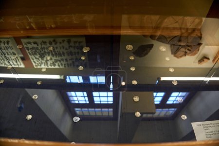 Téléchargez les photos : Vue intérieure du Musée archéologique de Sparte. Il abrite des milliers de trouvailles de l'ancienne Acropole de Sparte, connue sous le nom de Lakedaemonia - en image libre de droit