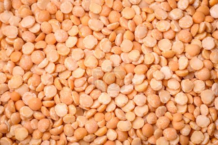 Photo for Dried pea grains, divided into halves, are yellow in color when raw. Prepare a delicious nutritious side dish - Royalty Free Image