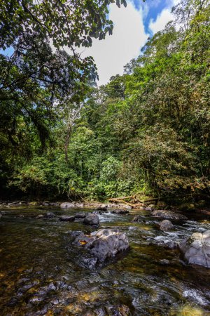 Foto de Río choco andino, mucha selva verde, agua pura y rocas redondas - Imagen libre de derechos