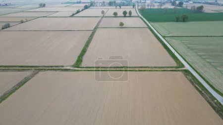 Europa, Italien, Mailand - Wassernotstand und Dürre in der Lombardei, Wassermangel bei der Bewässerung bestellter Felder - Drohnenaufnahme von Reisfeldern ohne Wasser - Landwirtschaft und trockenes Land