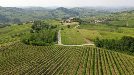 Téléchargez les photos : Italie, Oltrepo 'Pavese, collines avec vignobles pour la production de vin, rangées de vignes - vue paysage Apennins toscans depuis le drone, attraction touristique près de Montalto Pavese Broni - en image libre de droit