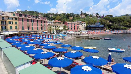 Téléchargez les photos : Europe, Italie, Portofino - La baie de Portofino dans le Tigullio Parc naturel national de la mer Méditerranée près de Gênes - le port avec des bateaux et des yachts - nature étonnante avec bougamvillea violet - en image libre de droit
