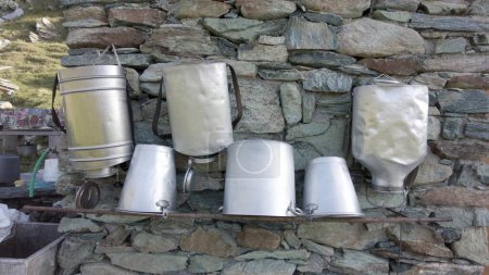 Téléchargez les photos : Anciens récipients traditionnels en aluminium pour le lait fraîchement trayé - Traire la vache pour recueillir le lait pour la production de fromage - alpage avec maisons en pierre - en image libre de droit