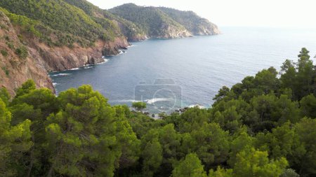 Foto de Europa, Italia, Liguria, Framura - vista aérea de drones de increíble paisaje marino en el parque nacional Tigullio con bosque de pinos y acantilado entre Framura Bonassola y Levanto camino peatonal - Cinque Terre - Imagen libre de derechos