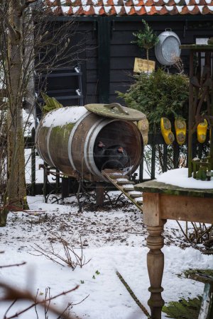 Téléchargez les photos : Wooden barrel adapted for chickens. - en image libre de droit
