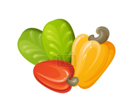 Red cashew nut. Unripe and ripe exotic yellow fruit with green leaves. Cartoon vector illustration.